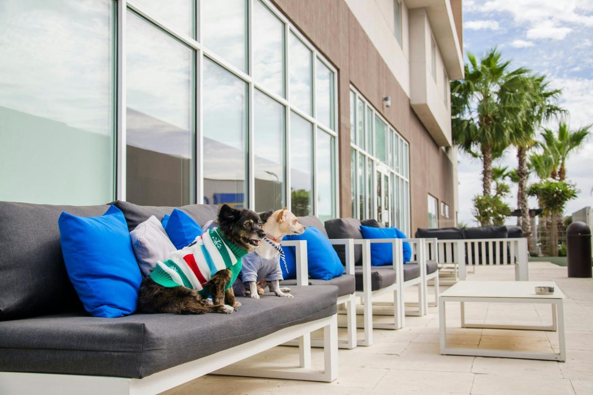 Courtyard By Marriott Hermosillo Exteriör bild